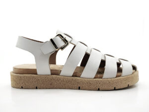 Ragnetto Bianco